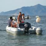 img_0377.jpg