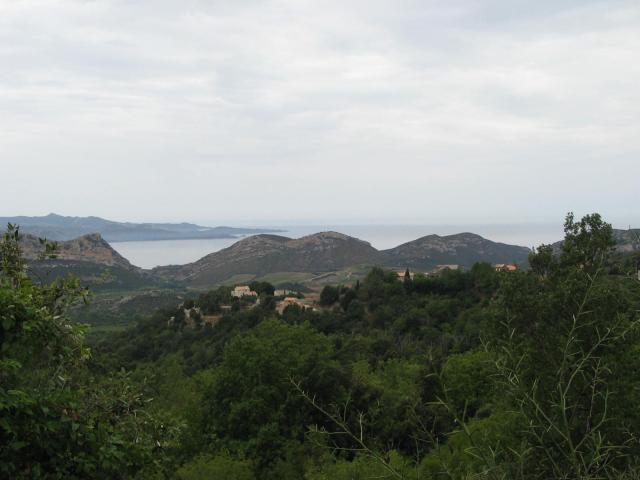 img_0387.jpg