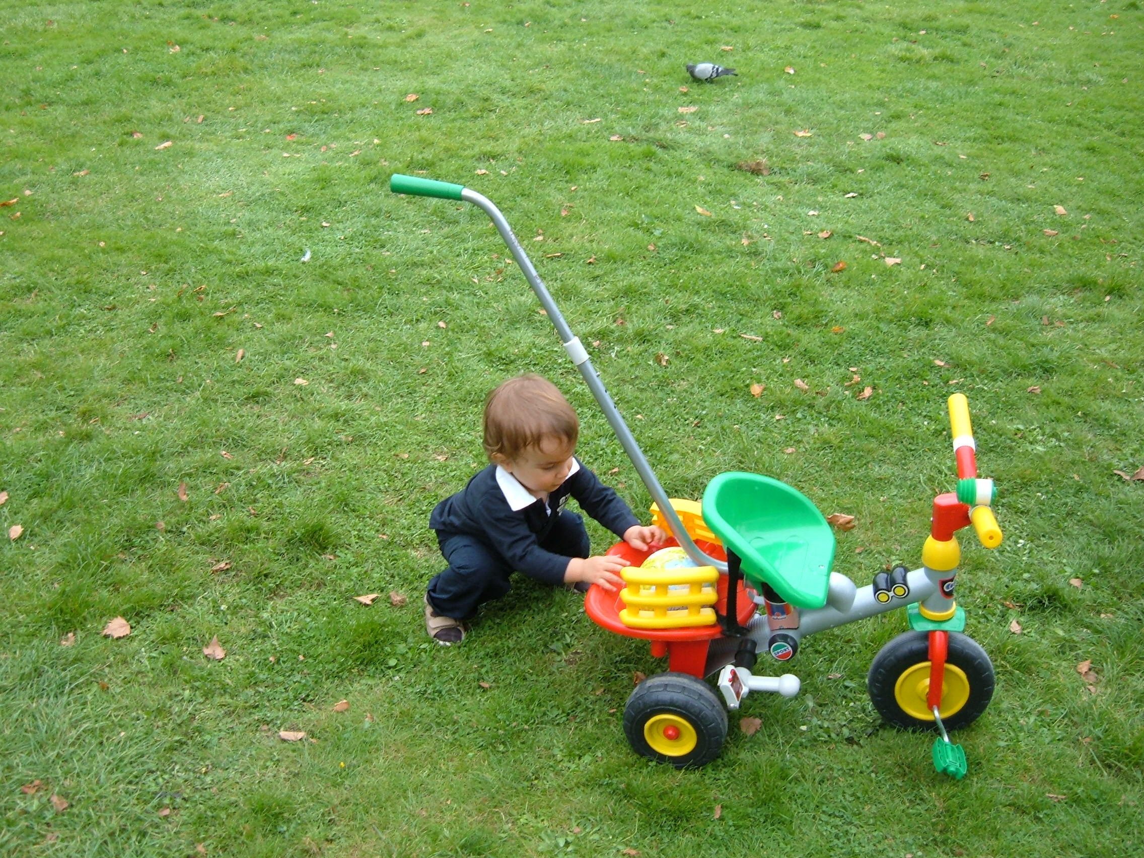 DSCF2658.JPG