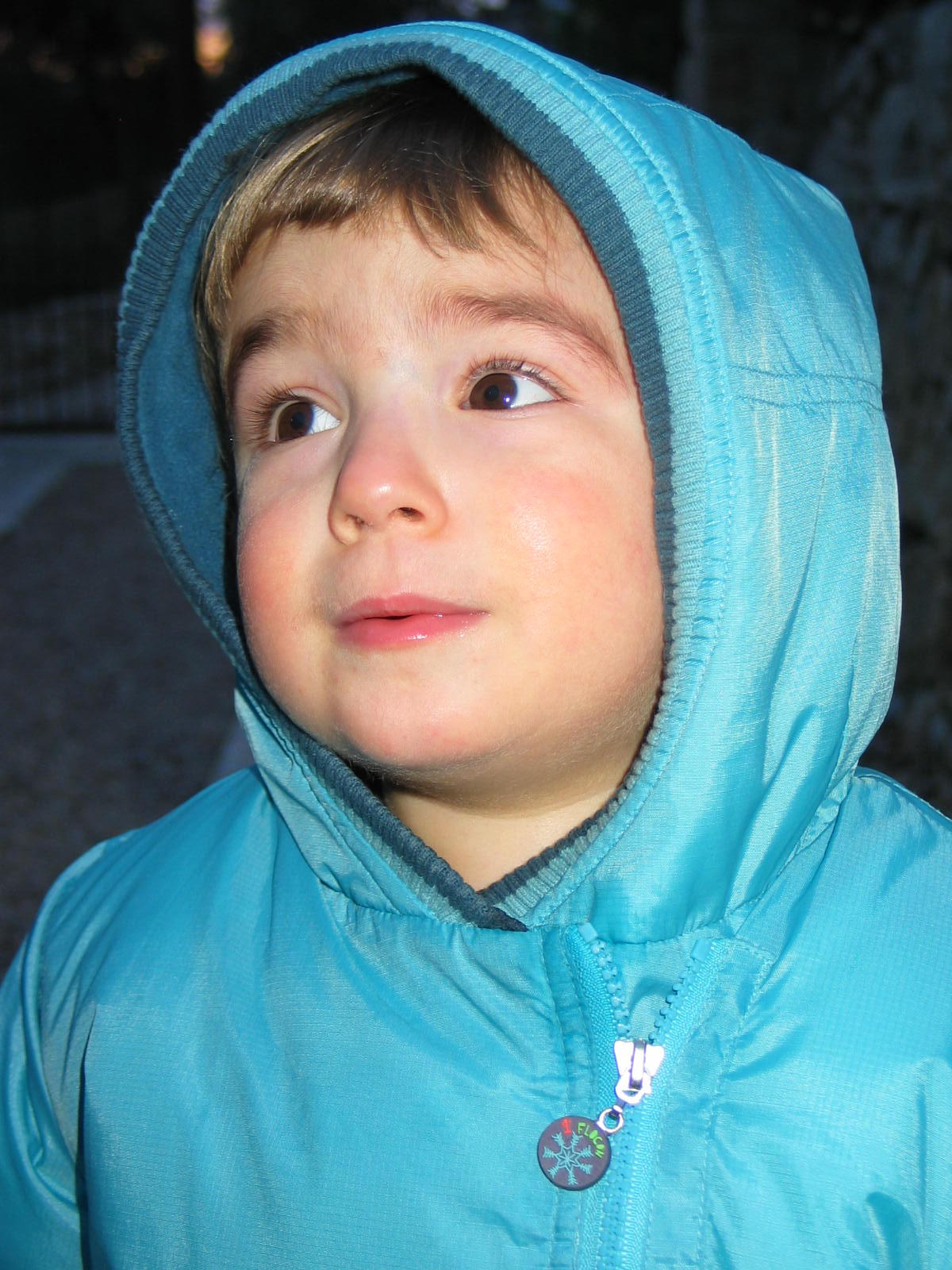 img_0687.jpg