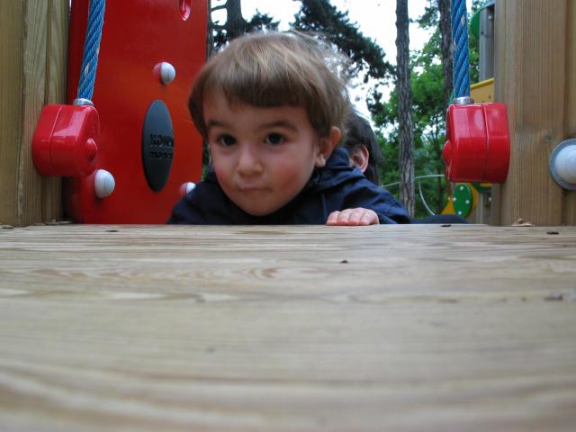 img_1448.jpg