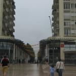 img_1916.jpg