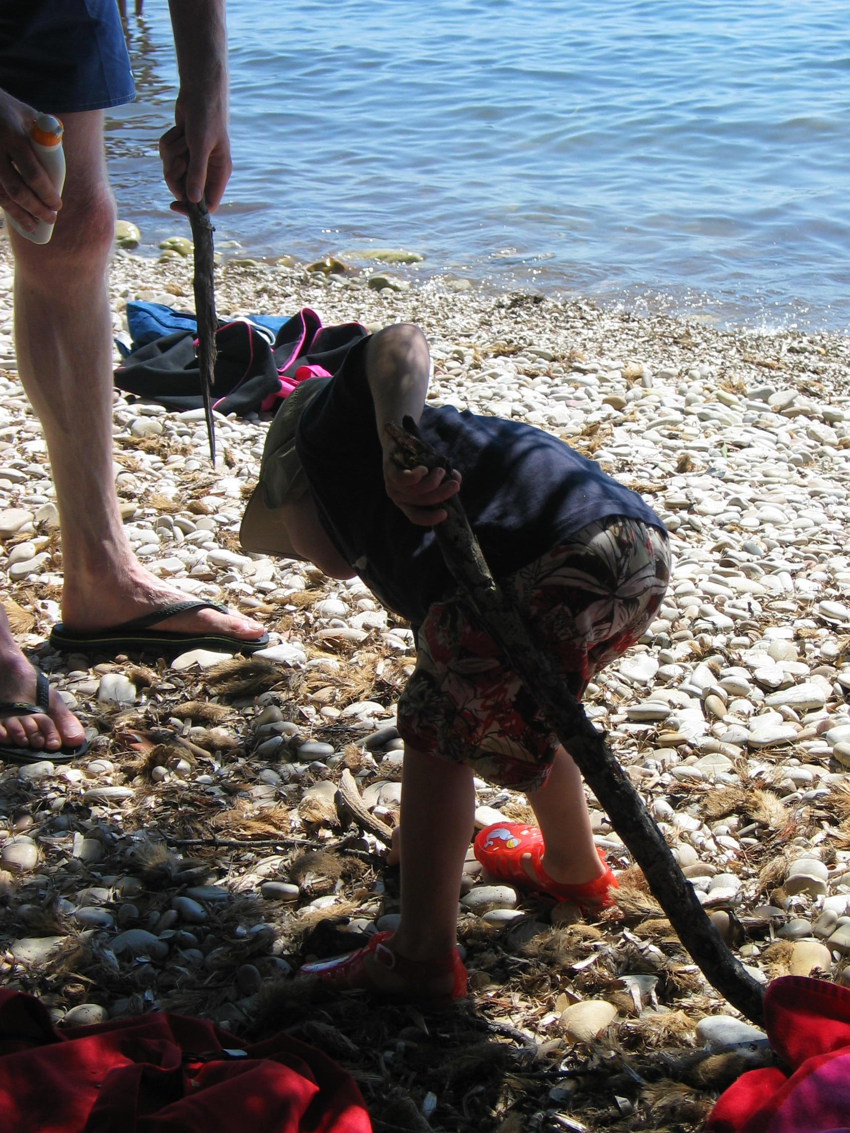 img_2126.jpg