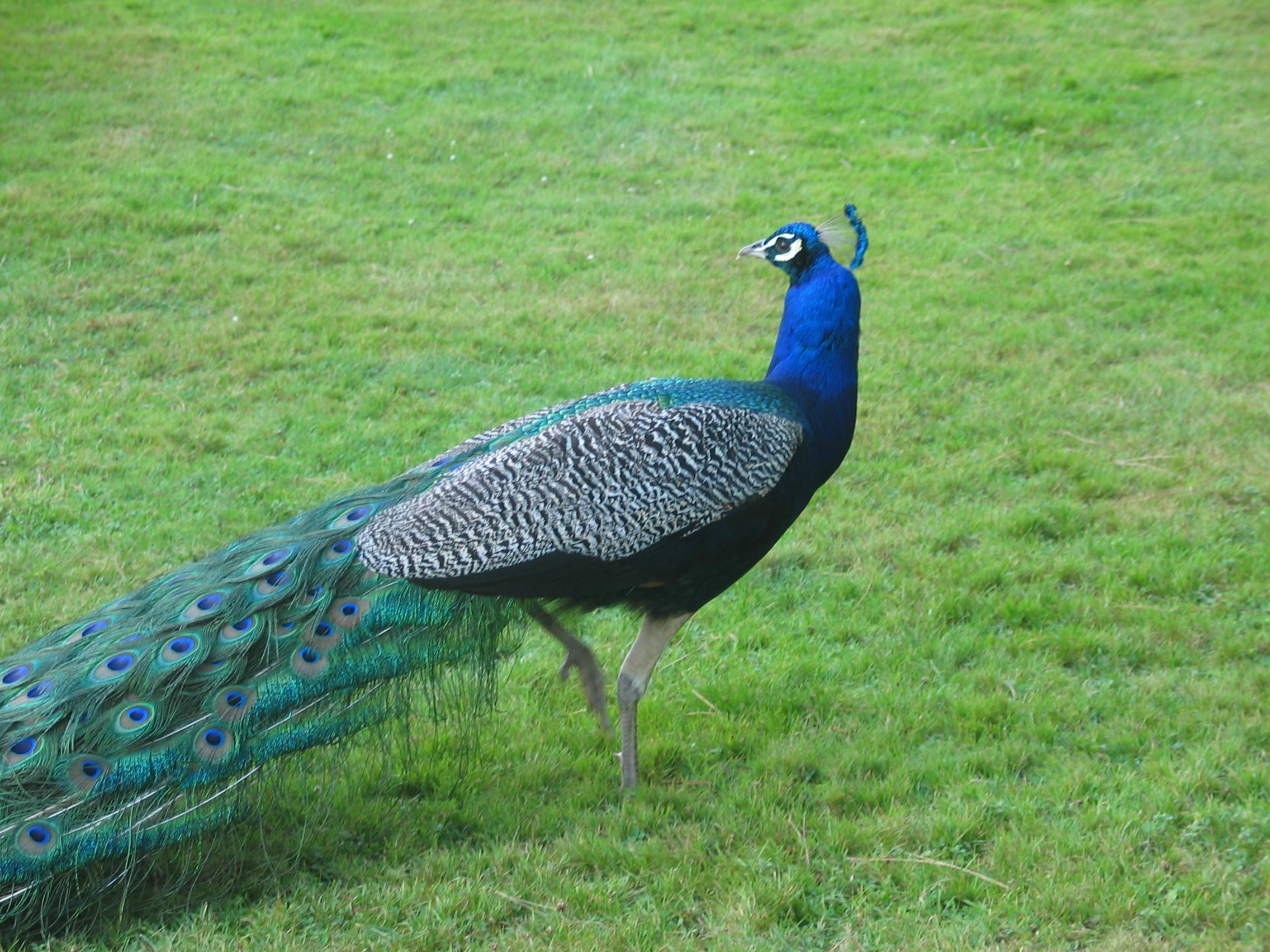 img_1764.jpg