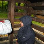 IMG_2274.JPG