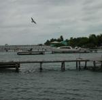 011_Caye_Caulker