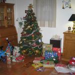 20081225_094947.jpg
