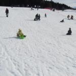 sdc10674.jpg