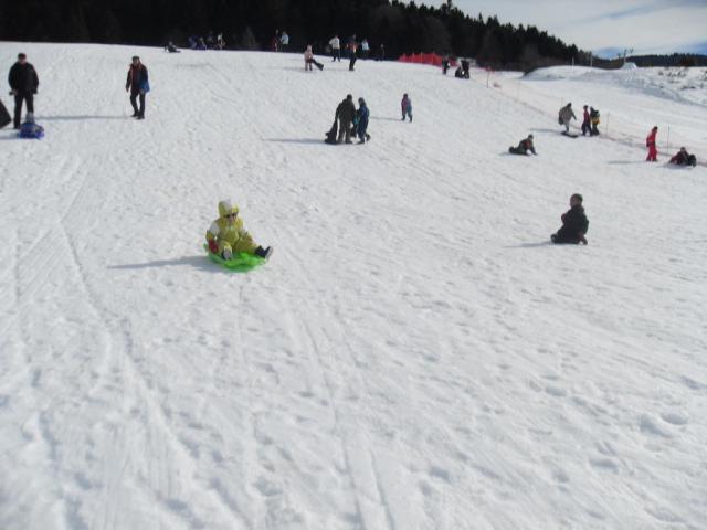 sdc10674.jpg