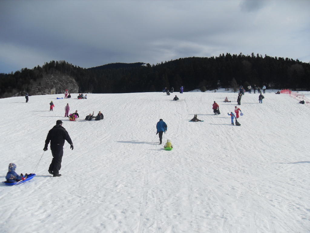 sdc10675.jpg