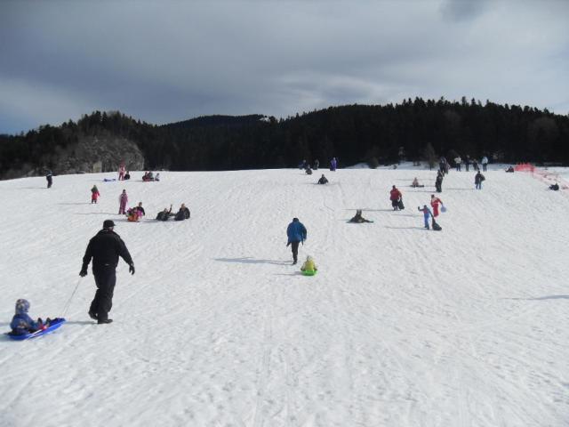 sdc10675.jpg