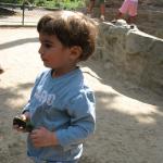 img_5175.jpg