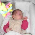 img_1258.jpg