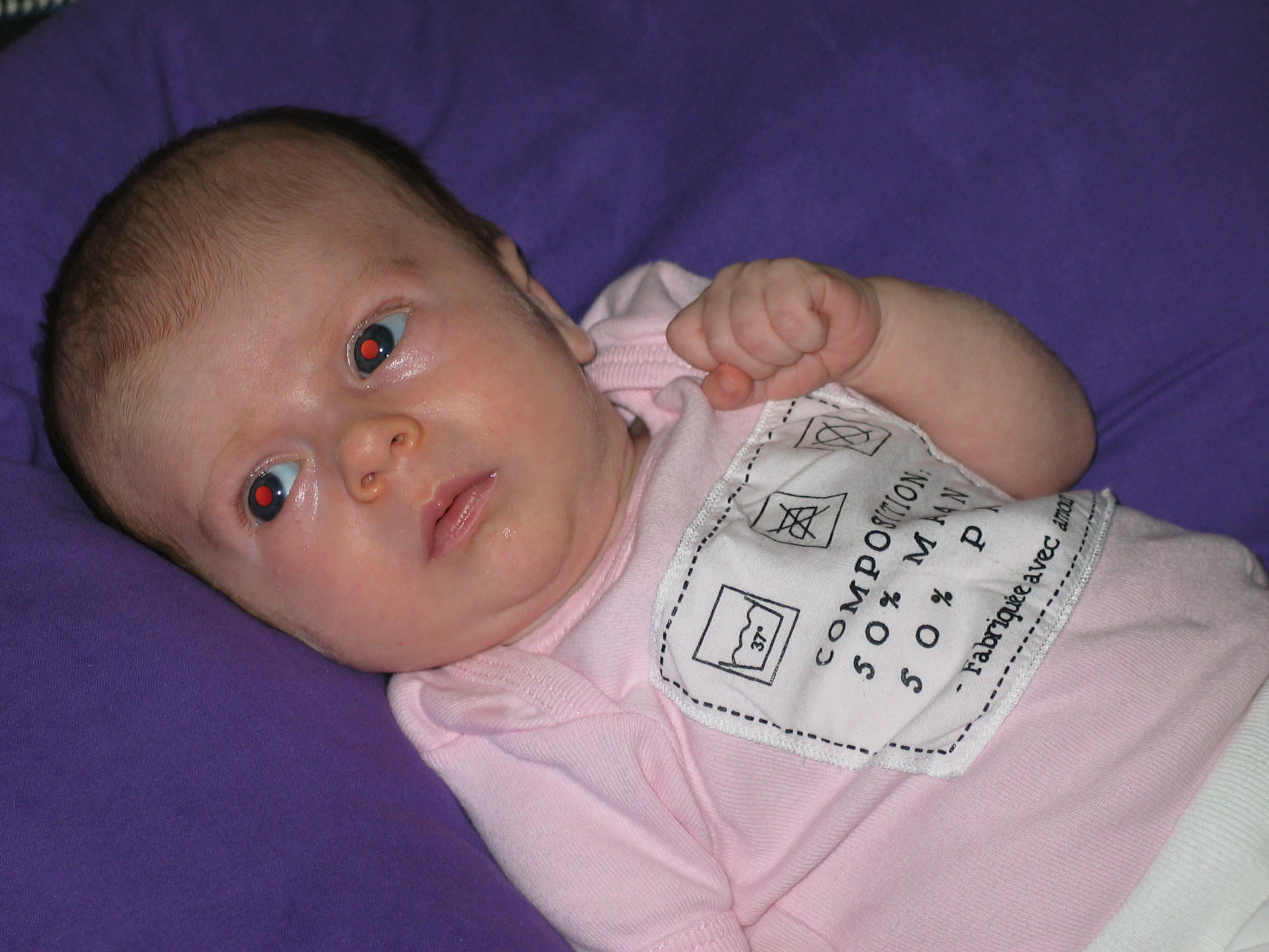 img_20090627_150433.jpg