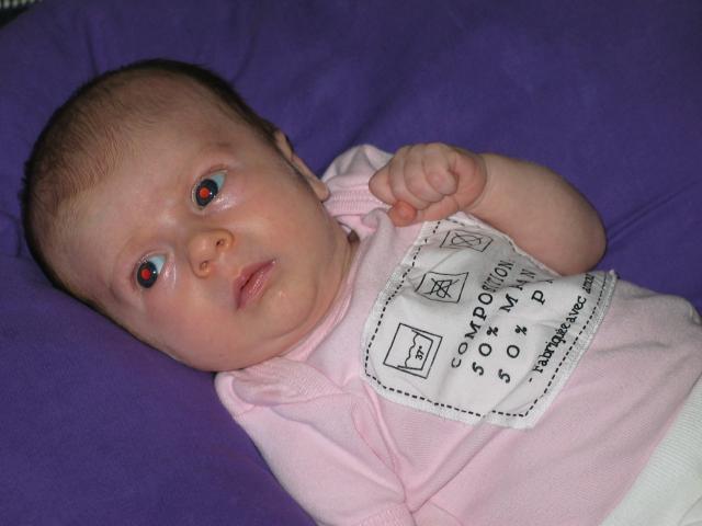 img_20090627_150433.jpg