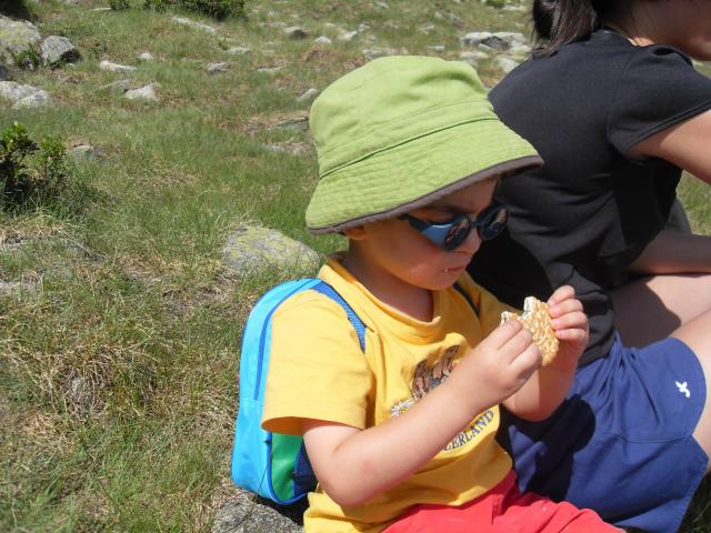 sdc11884.jpg