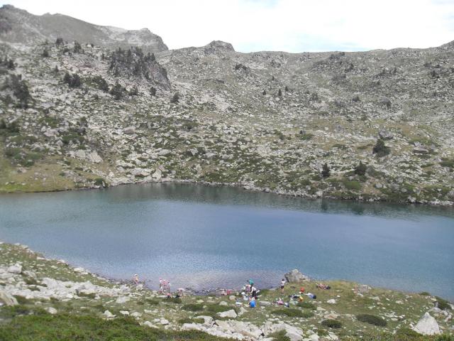 sdc11906.jpg