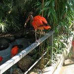 img_20090811_113501.jpg