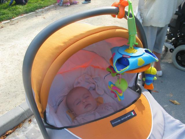 img_20090920_170225.jpg