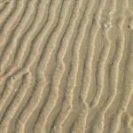 img_3527.jpg