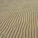 img_3528.jpg