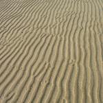 img_3529.jpg