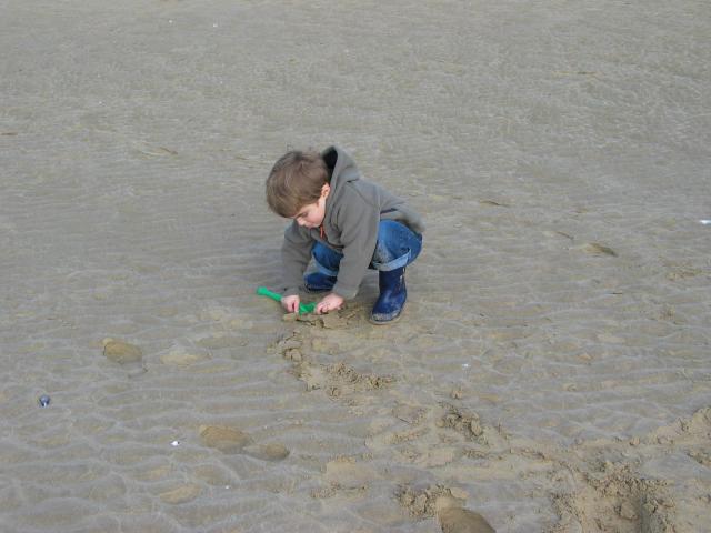 img_3533.jpg
