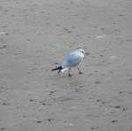 img_3536.jpg