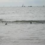 img_3537.jpg