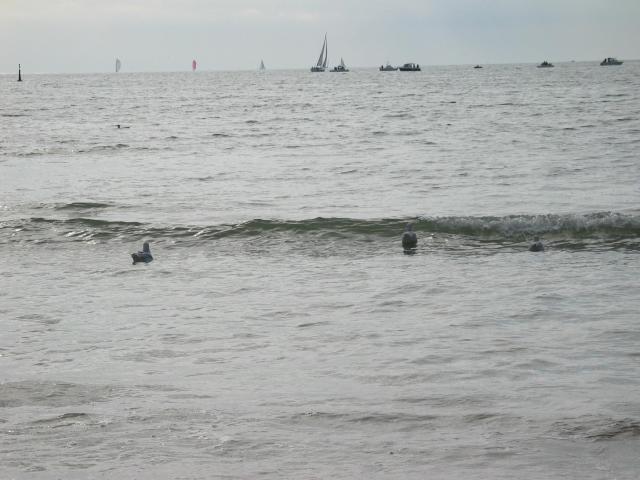 img_3537.jpg