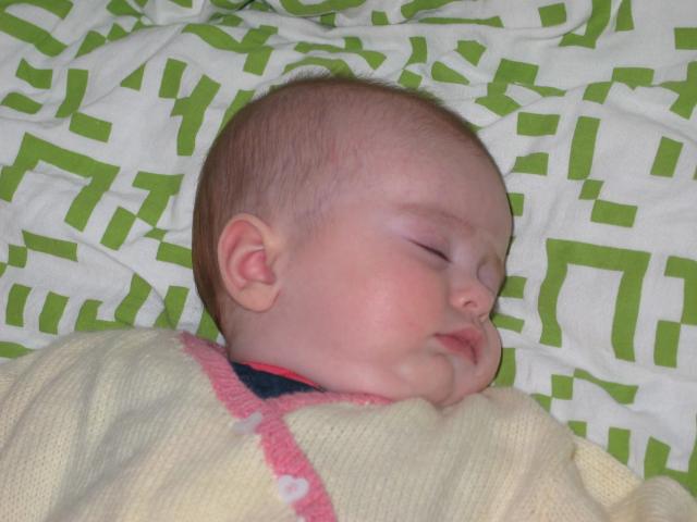 img_3565.jpg